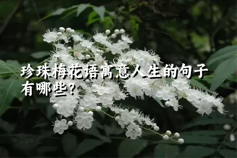 珍珠梅花语寓意人生的句子有哪些？