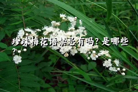 珍珠梅花语禁忌有吗？是哪些？