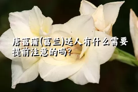 唐菖蒲(菖兰)送人有什么需要提前注意的吗？