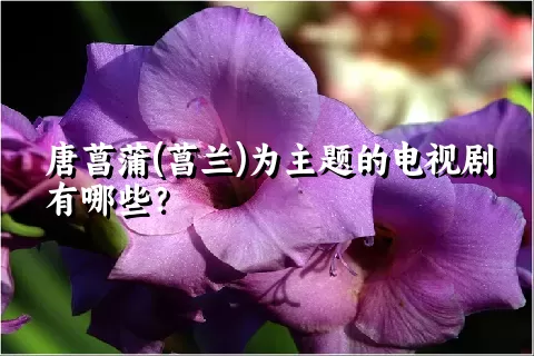 唐菖蒲(菖兰)为主题的电视剧有哪些？