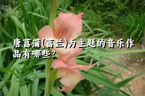 唐菖蒲(菖兰)为主题的音乐作品有哪些？