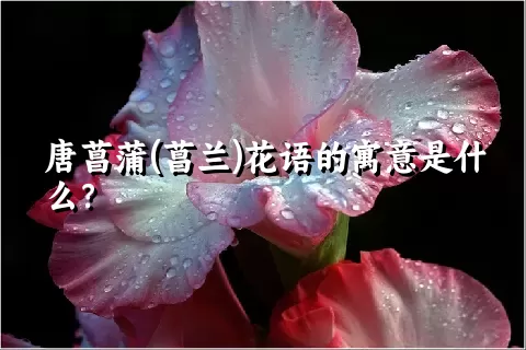 唐菖蒲(菖兰)花语的寓意是什么？