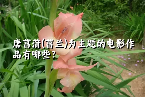 唐菖蒲(菖兰)为主题的电影作品有哪些？