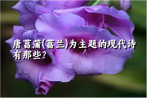 唐菖蒲(菖兰)为主题的现代诗有那些？