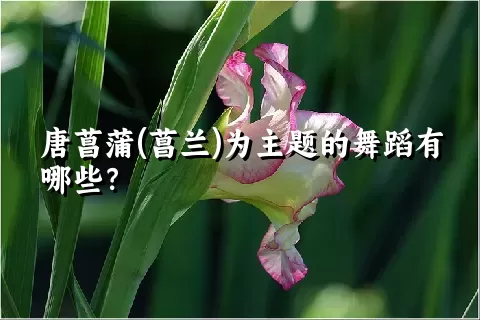 唐菖蒲(菖兰)为主题的舞蹈有哪些？