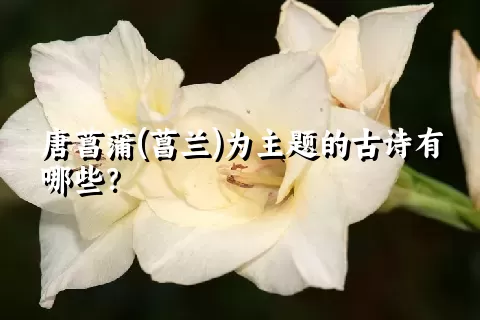 唐菖蒲(菖兰)为主题的古诗有哪些？