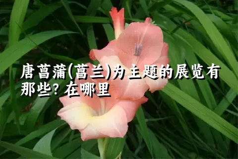 唐菖蒲(菖兰)为主题的展览有那些？在哪里