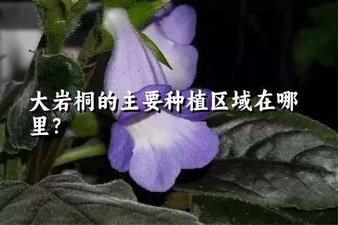 大岩桐的主要种植区域在哪里？