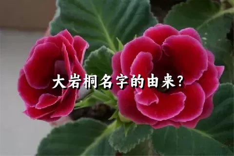 大岩桐名字的由来？