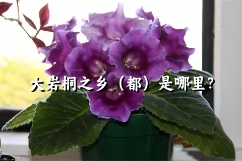 大岩桐之乡（都）是哪里？