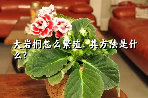 大岩桐怎么繁殖，其方法是什么？