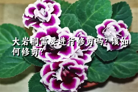 大岩桐需要进行修剪吗？该如何修剪？