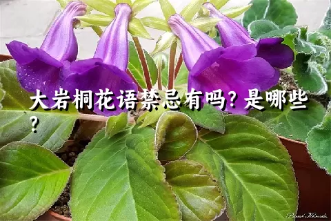 大岩桐花语禁忌有吗？是哪些？