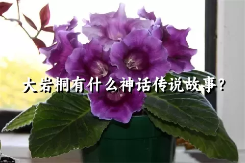 大岩桐有什么神话传说故事？