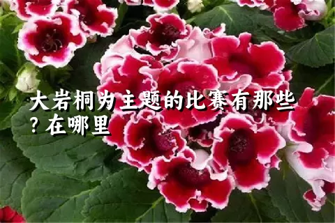 大岩桐为主题的比赛有那些？在哪里