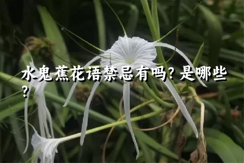 水鬼蕉花语禁忌有吗？是哪些？