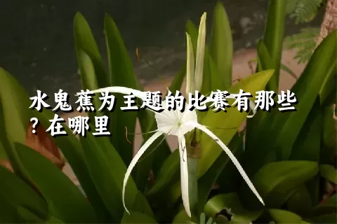 水鬼蕉为主题的比赛有那些？在哪里