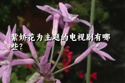 紫娇花为主题的电视剧有哪些？