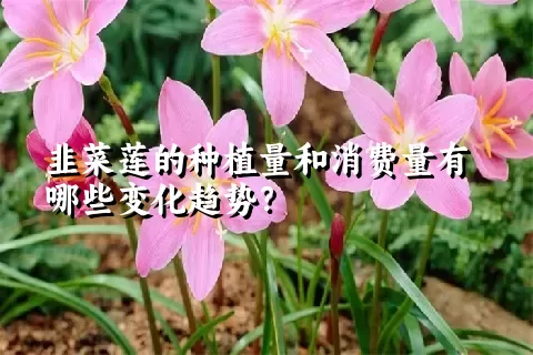 韭菜莲的种植量和消费量有哪些变化趋势？