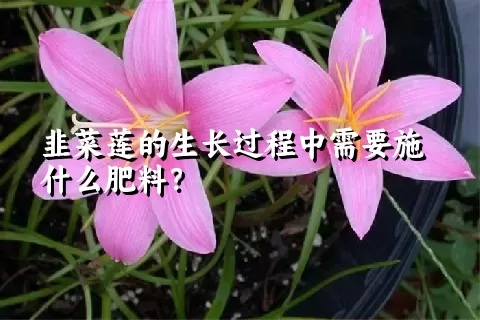 韭菜莲的生长过程中需要施什么肥料？