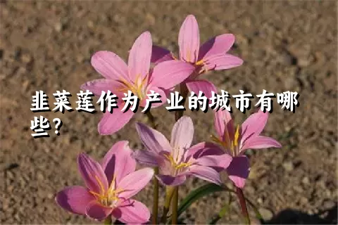 韭菜莲作为产业的城市有哪些？