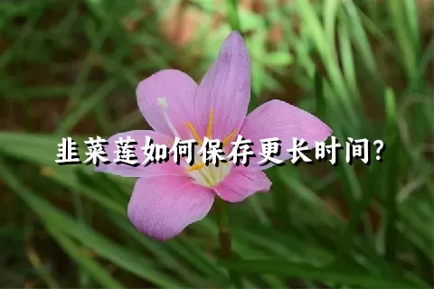 韭菜莲如何保存更长时间？