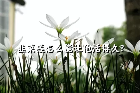 韭菜莲怎么能让他活得久？