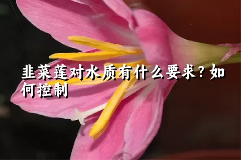 韭菜莲对水质有什么要求？如何控制