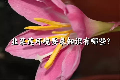 韭菜莲环境要求知识有哪些？