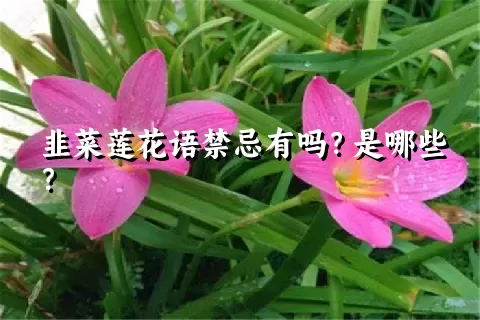 韭菜莲花语禁忌有吗？是哪些？