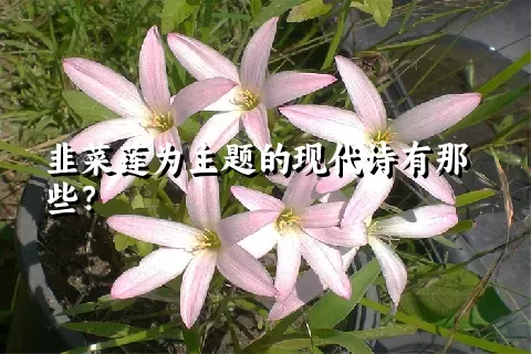 韭菜莲为主题的现代诗有那些？