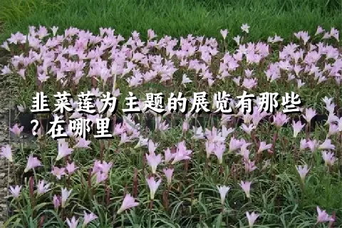 韭菜莲为主题的展览有那些？在哪里