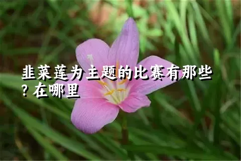 韭菜莲为主题的比赛有那些？在哪里