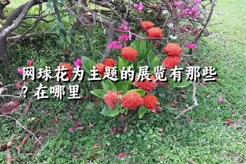 网球花为主题的展览有那些？在哪里