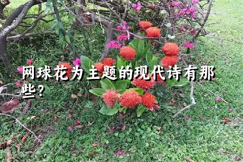 网球花为主题的现代诗有那些？