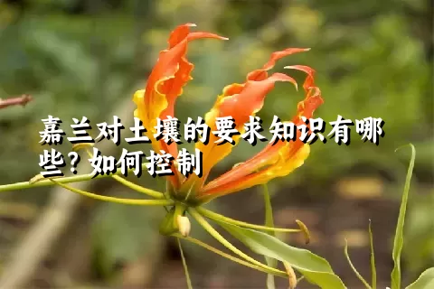 嘉兰对土壤的要求知识有哪些？如何控制