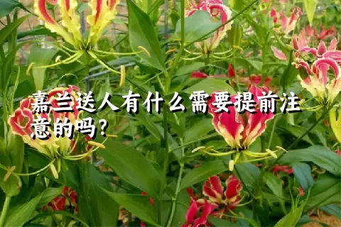 嘉兰送人有什么需要提前注意的吗？