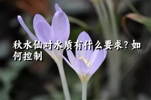 秋水仙对水质有什么要求？如何控制