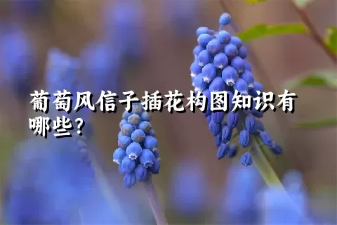 葡萄风信子插花构图知识有哪些？