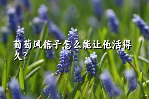 葡萄风信子怎么能让他活得久？