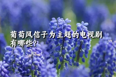 葡萄风信子为主题的电视剧有哪些？