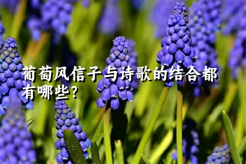 葡萄风信子与诗歌的结合都有哪些？