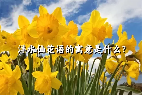 洋水仙花语的寓意是什么？