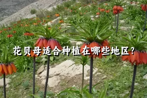 花贝母适合种植在哪些地区？