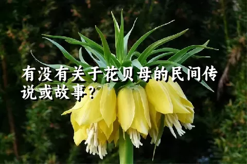 有没有关于花贝母的民间传说或故事？