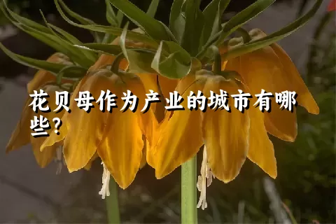 花贝母作为产业的城市有哪些？