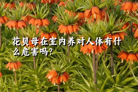 花贝母在室内养对人体有什么危害吗？