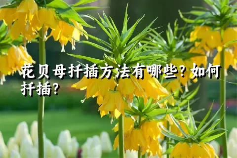 花贝母扦插方法有哪些？如何扦插？