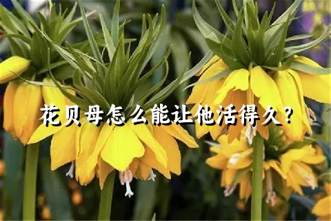 花贝母怎么能让他活得久？