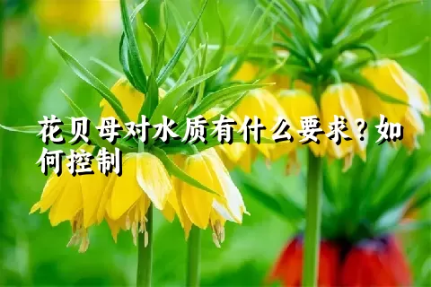 花贝母对水质有什么要求？如何控制